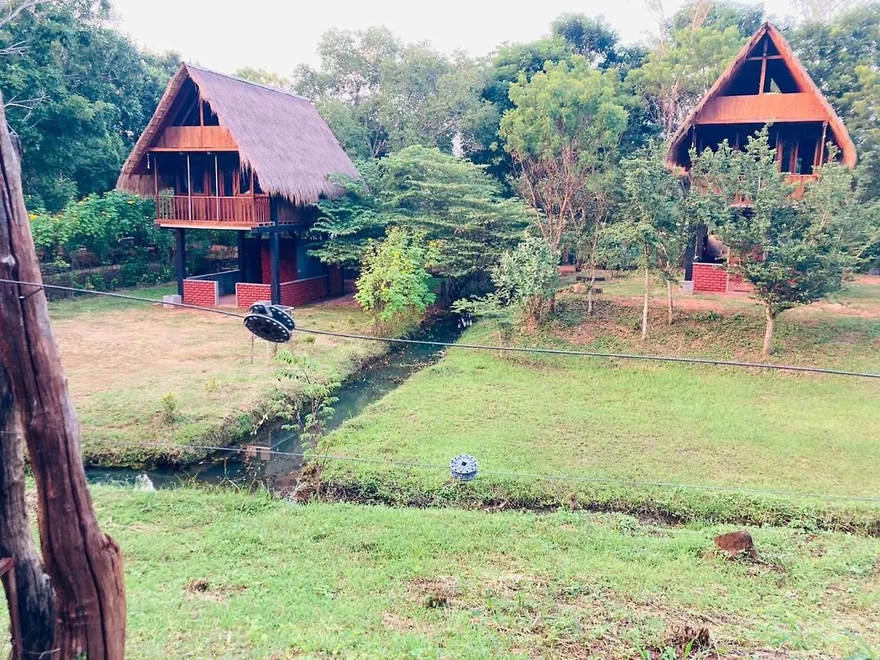 Wisdom Resort Habarana Sri Lanka